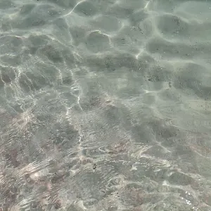 https://casa-nik.sicilyhotelsitaly.net